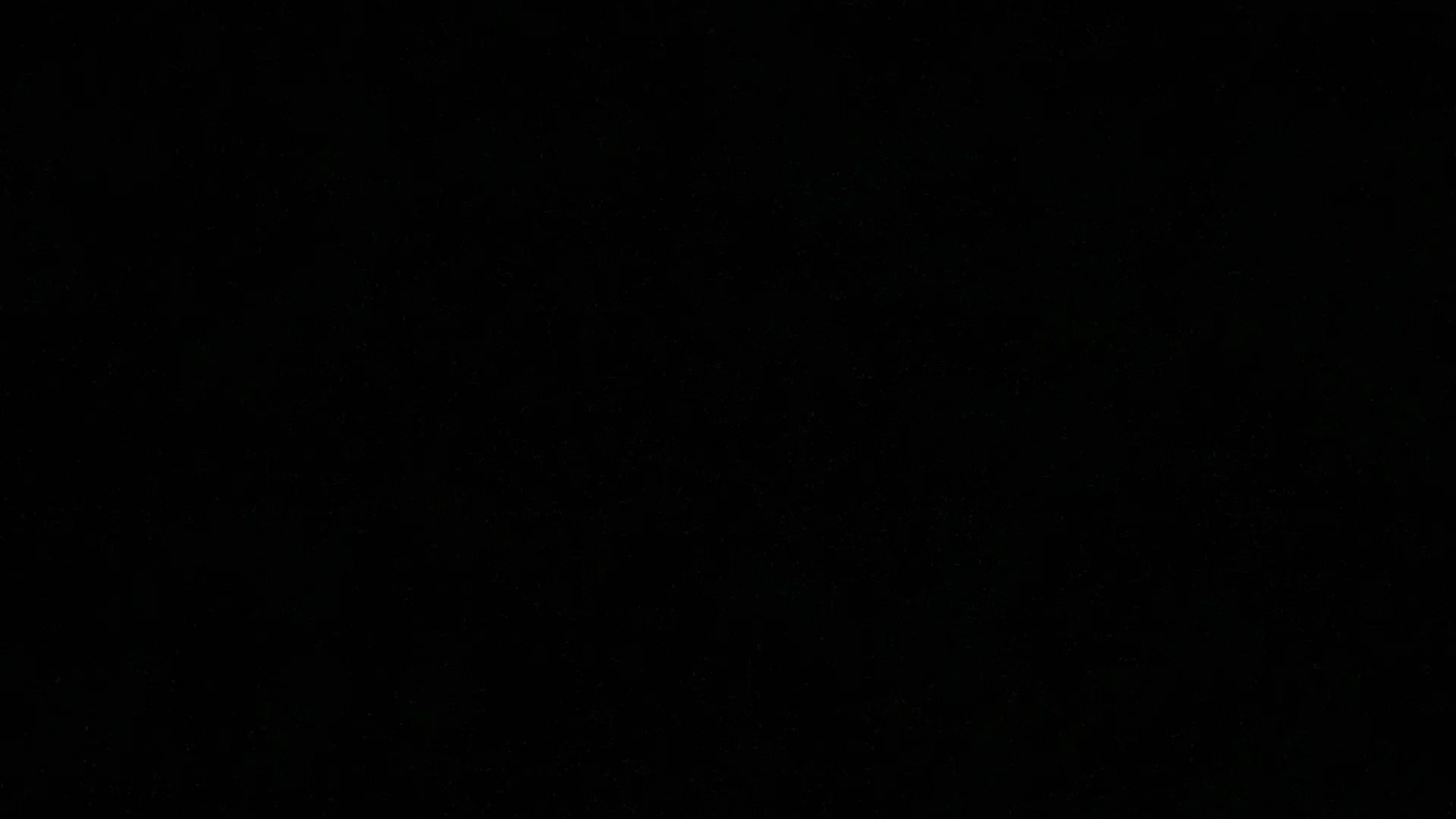 milani profile banner
