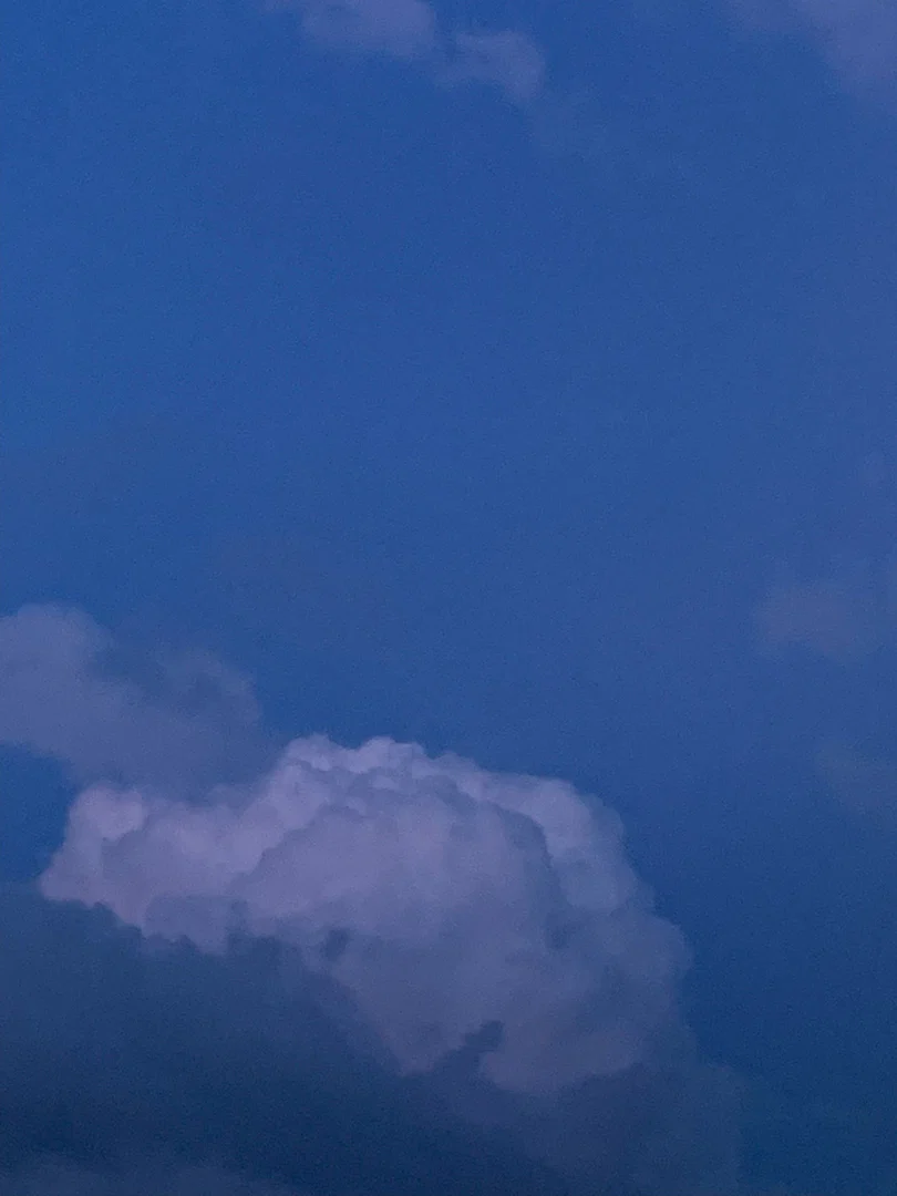 alfr*d profile banner