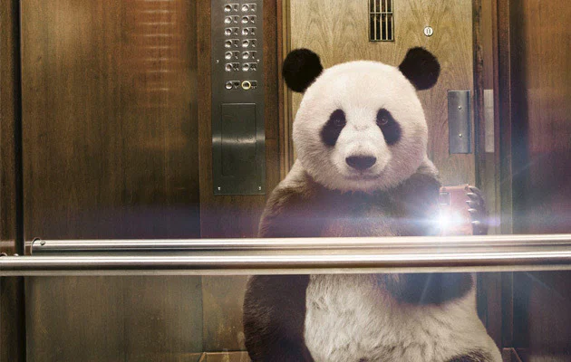 Pandaa Hendrixx profile banner