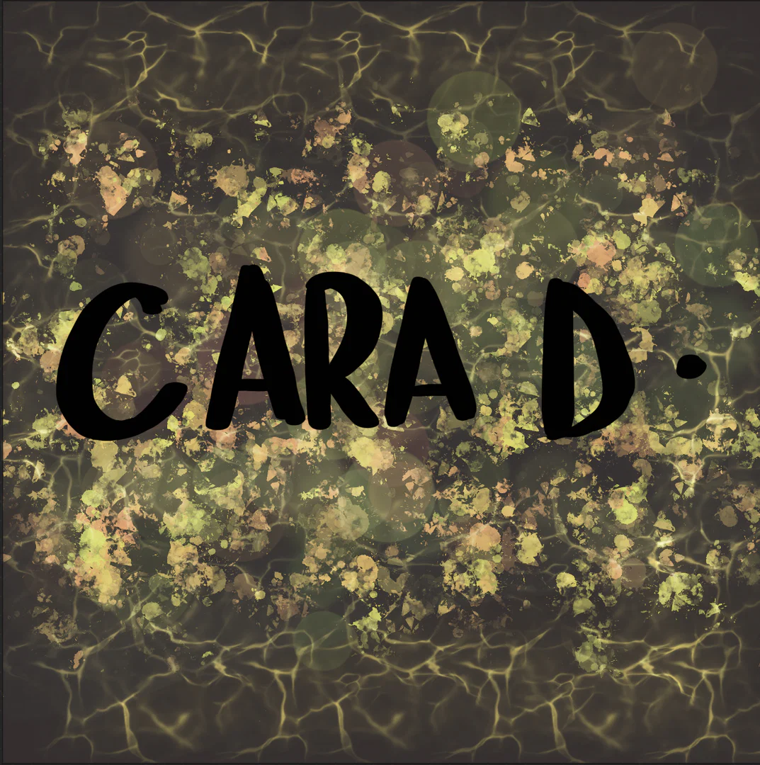 CaraD profile banner