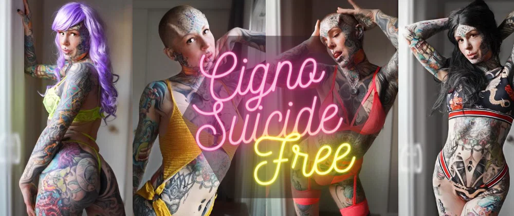 Cigno Fans profile banner