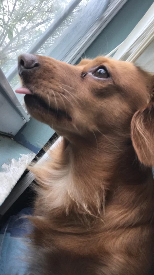 Jizz profile banner