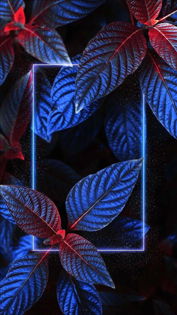 Jordy_boi profile banner