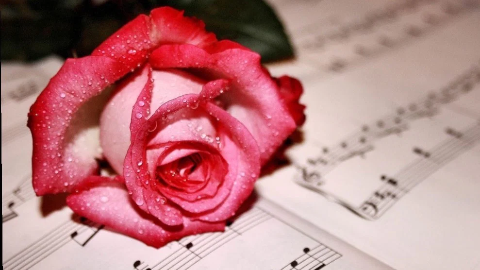 Rose Marina profile banner