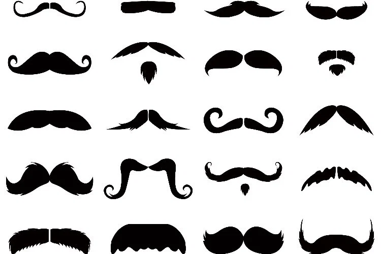 StacheXXX profile banner