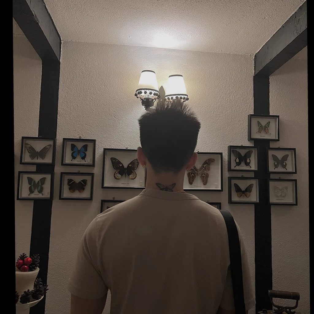 Butterfly boy 🦋's avatar