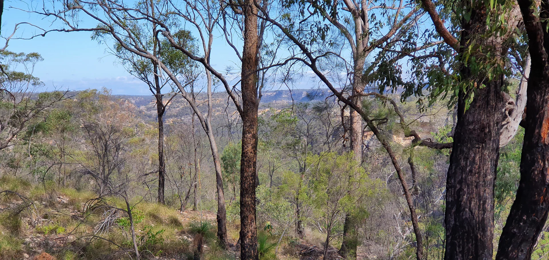 AussieAndy101 profile banner