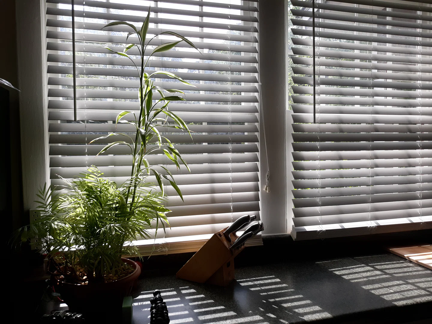 Sage and Sunny profile banner