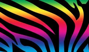 PuertoRicanBree profile banner
