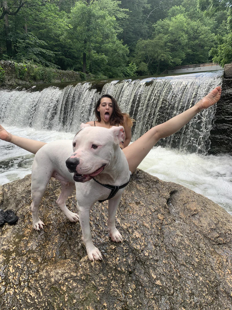 Nasty Nikkie profile banner