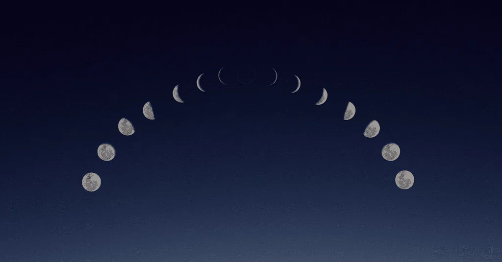 Callie profile banner