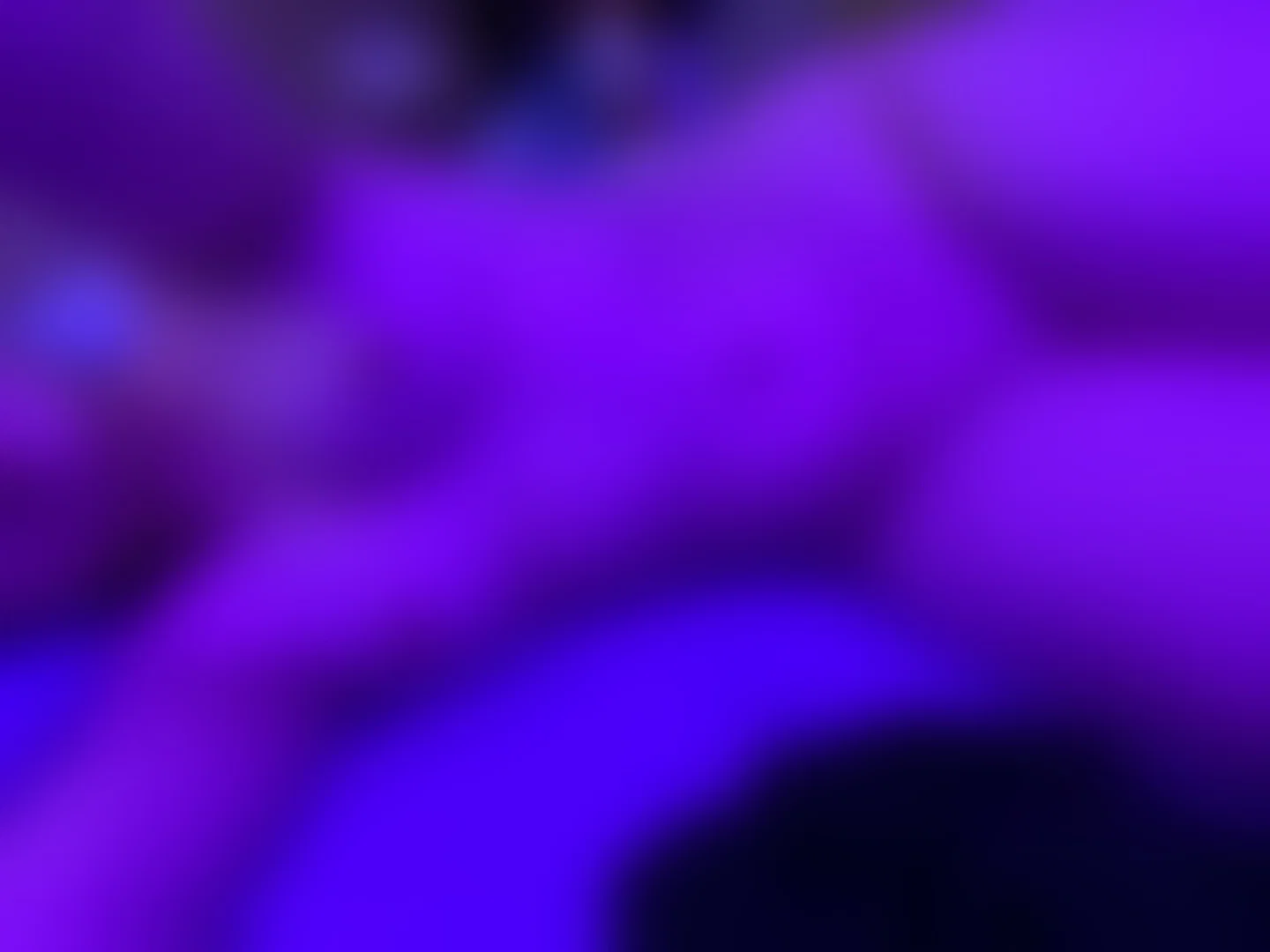 Kittina profile banner