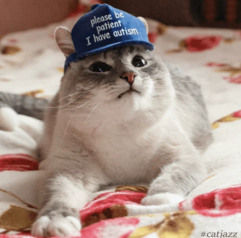 Cat's avatar
