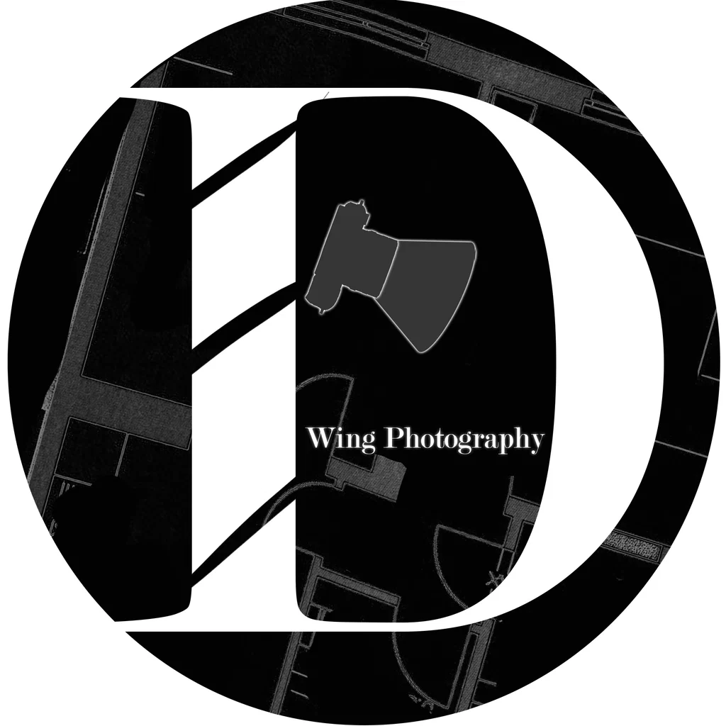 D-Wing Photography's avatar