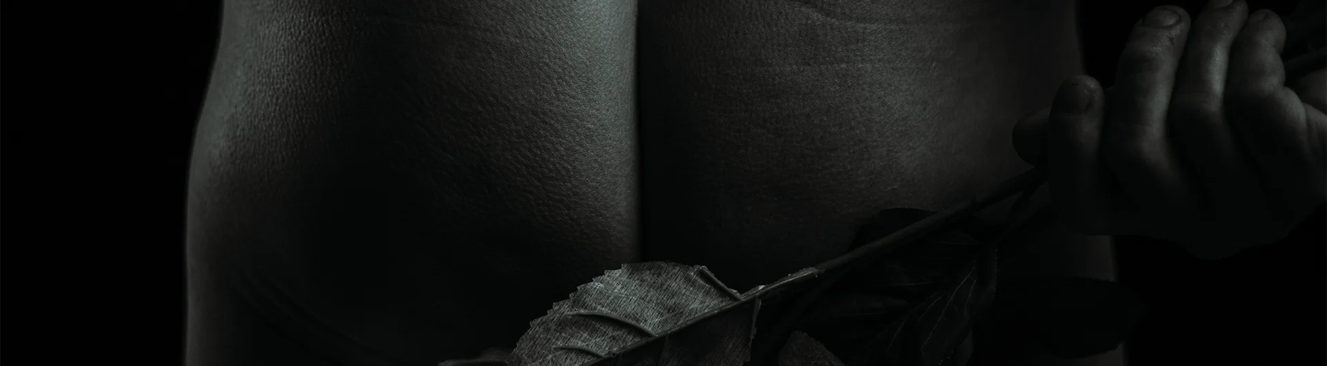 D-Wing Photography profile banner