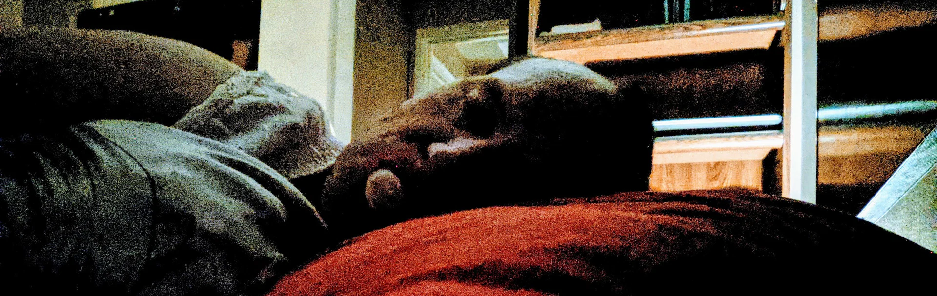 Sissy Paypiggy profile banner