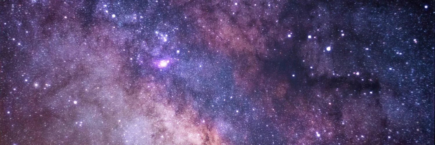 PerkiPandaVIP profile banner
