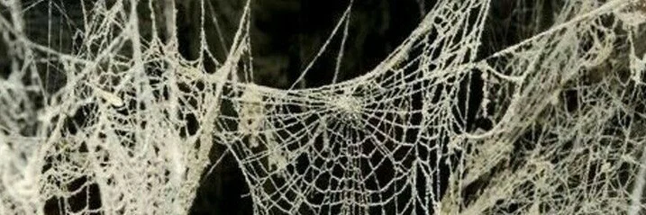 Artie profile banner