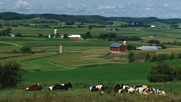 Goddess of the Midwest profile banner