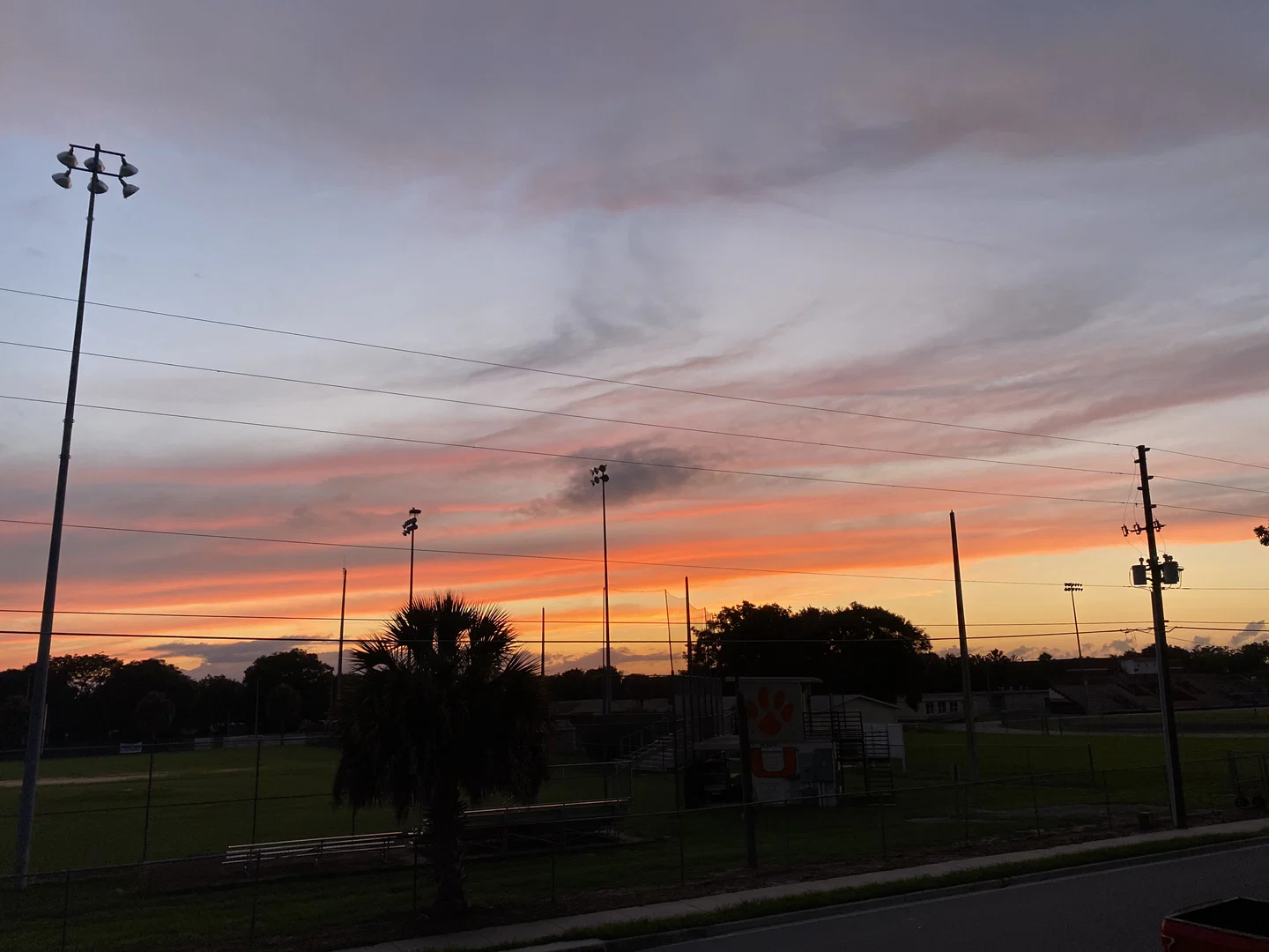 FLORIDA 🏳️🌈DUDE profile banner