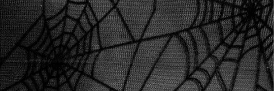 Princess 👑 profile banner