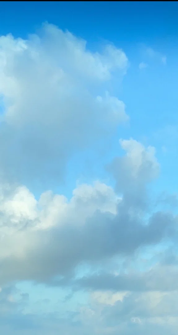 Piper Lane profile banner