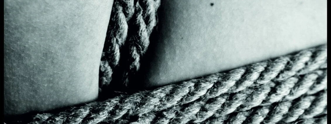 Brave profile banner
