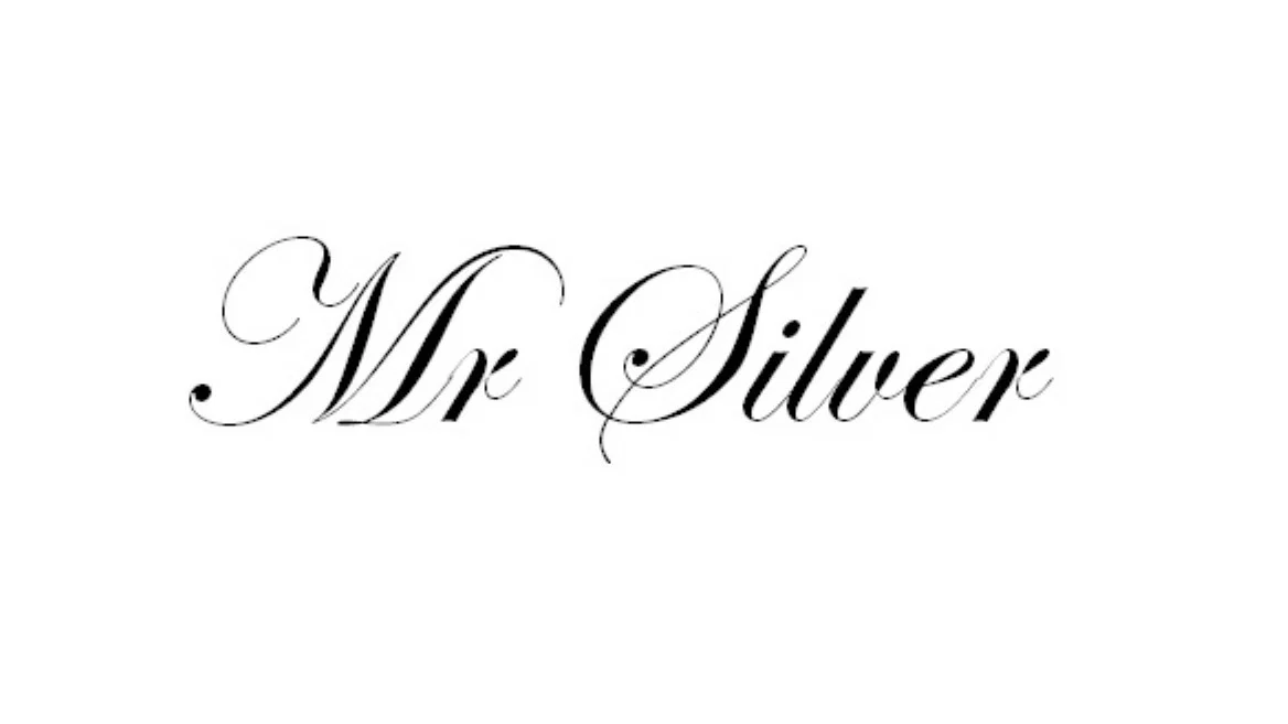 Mr Silver profile banner