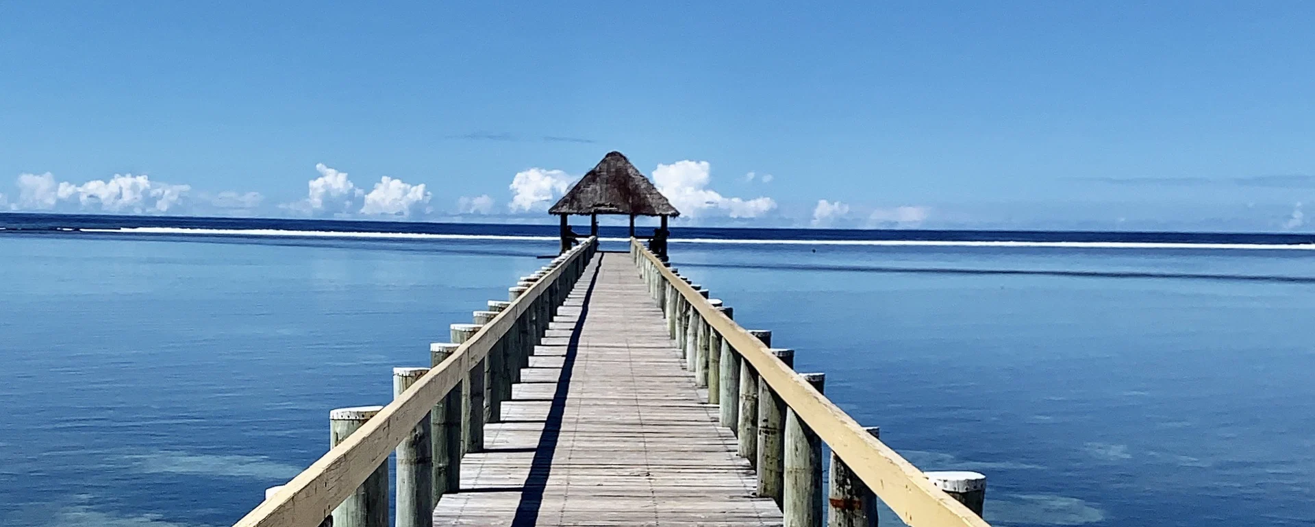 totoka profile banner