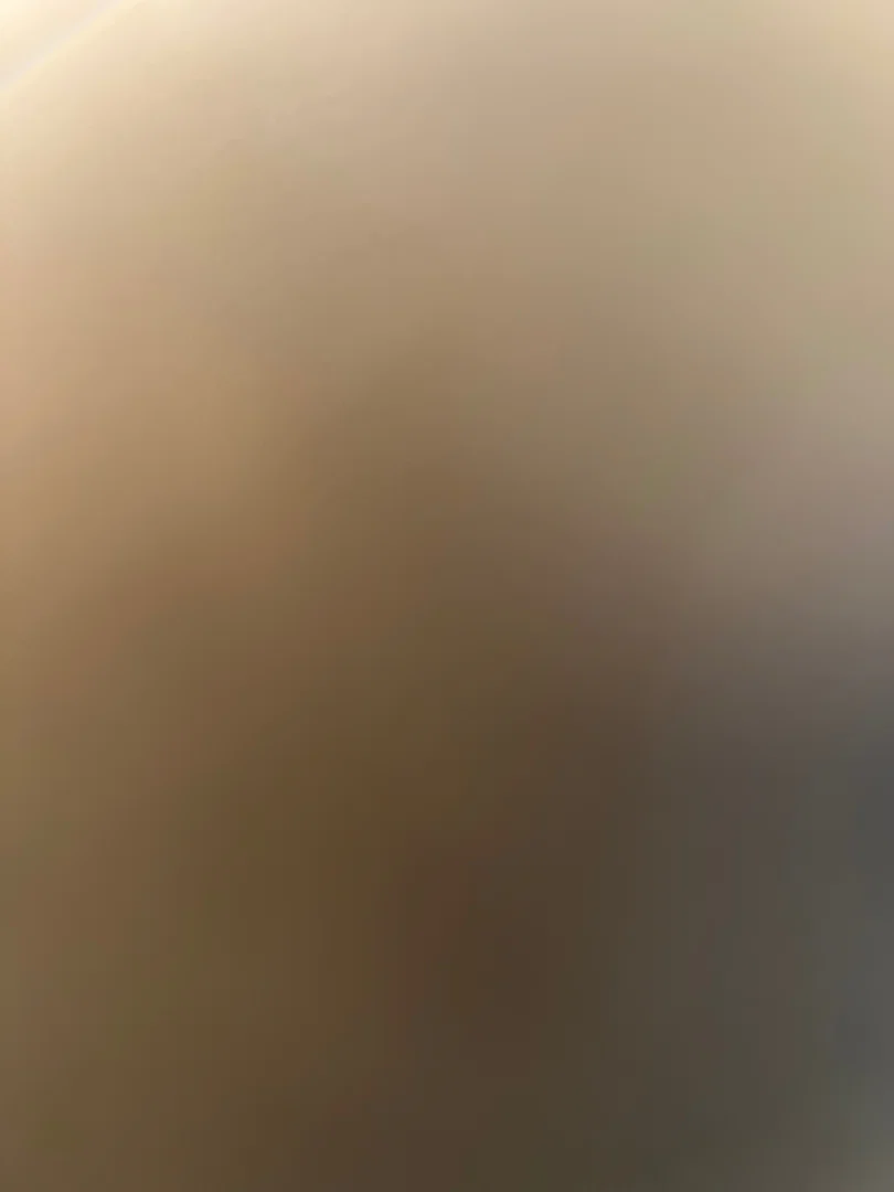 Alexa Fields profile banner
