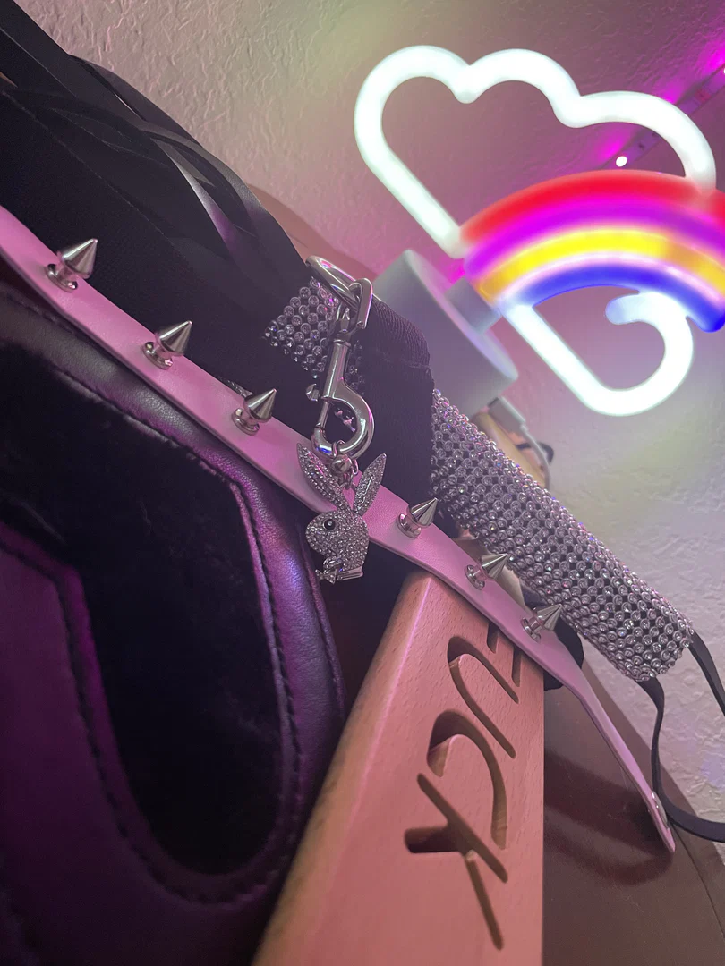 BunnyXTheBeast profile banner