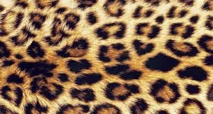 Ketarina profile banner