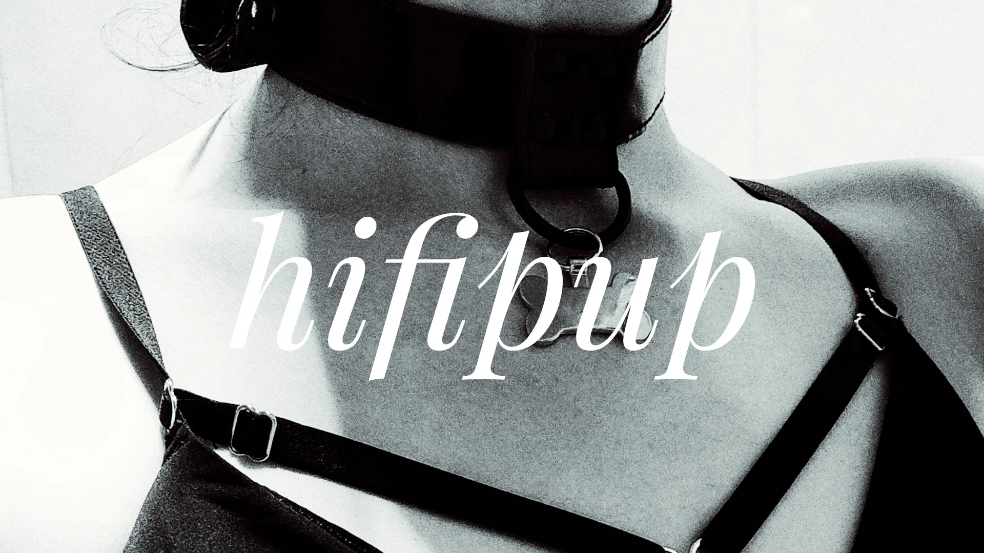 HifiPup profile banner