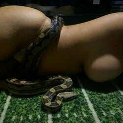 Lone Star Exotic Reptiles's avatar