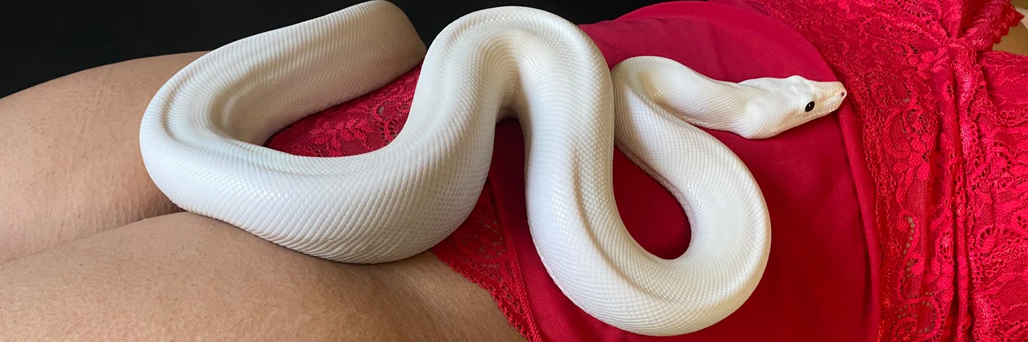 Lone Star Exotic Reptiles profile banner