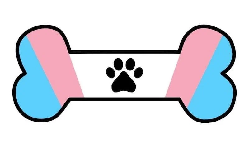 Puppy Koda profile banner