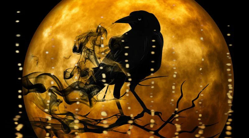 RavenousRose profile banner