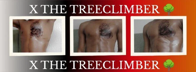 X The Tree Climber profile banner
