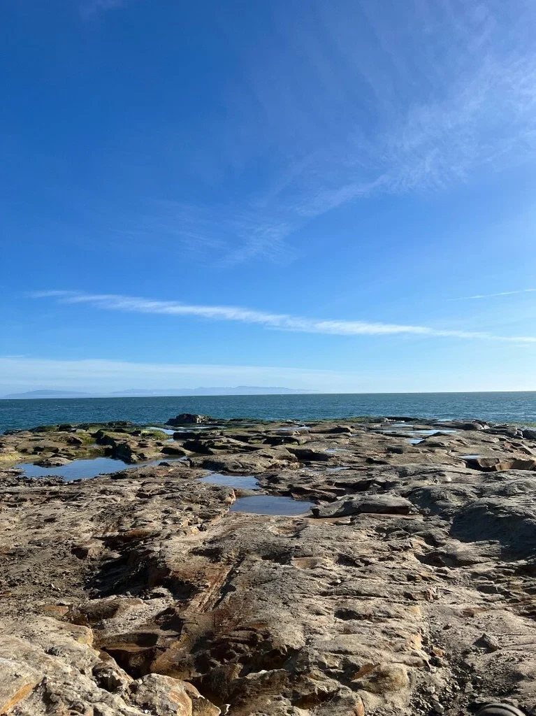 NakedinNature