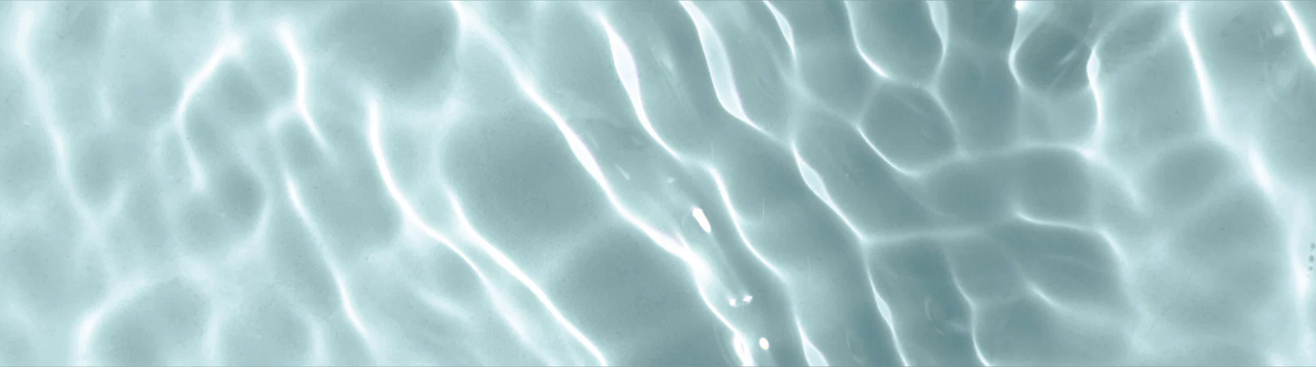 Maia Dainty (free) profile banner