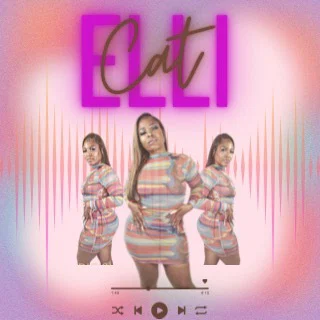 ElliCat profile banner