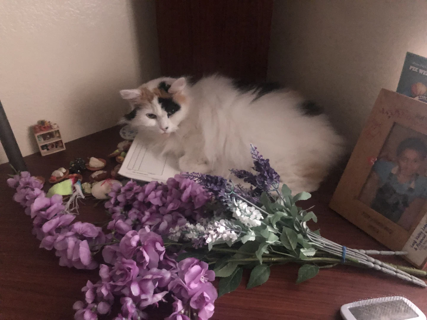 Lily profile banner