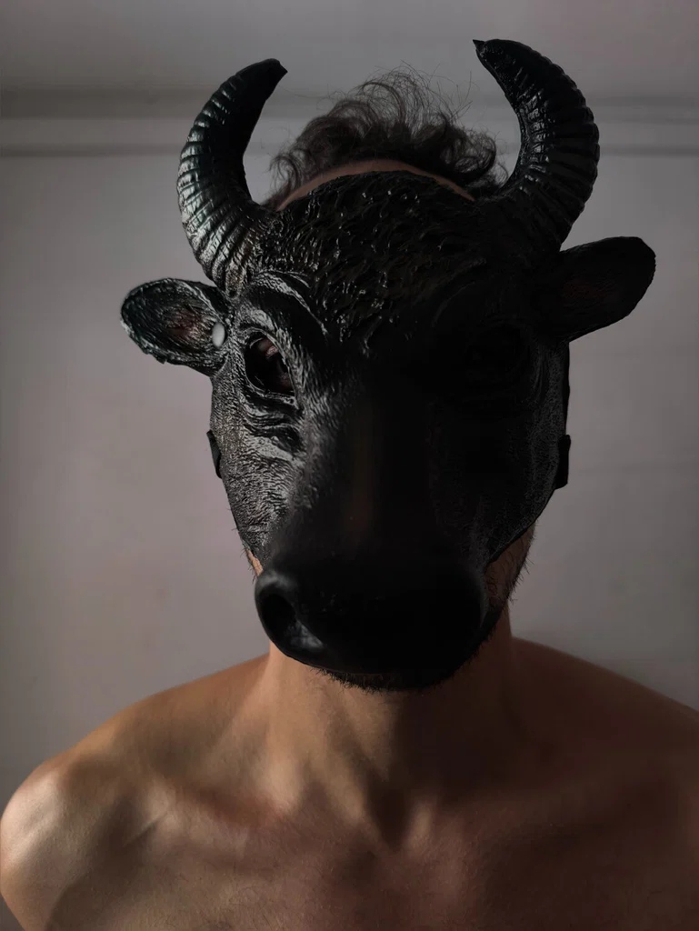 Shadow Bull