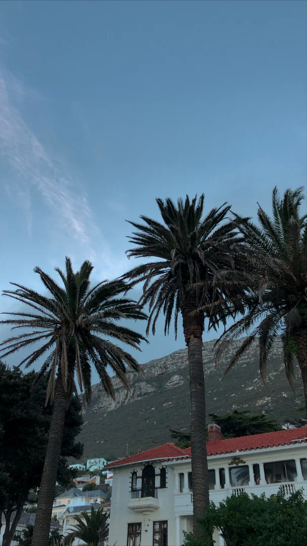 Dreaded Fantasies profile banner
