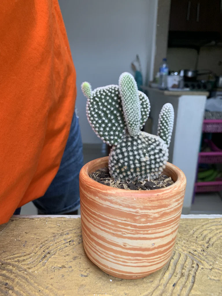 Juan