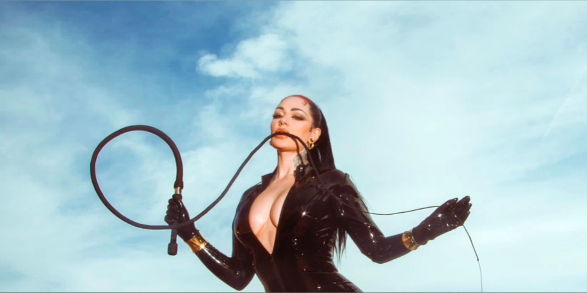 Cervena Fox profile banner