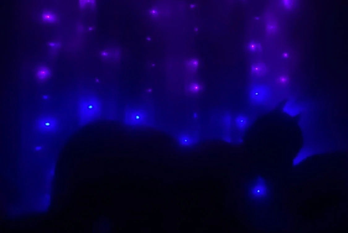 Jade🖤 profile banner