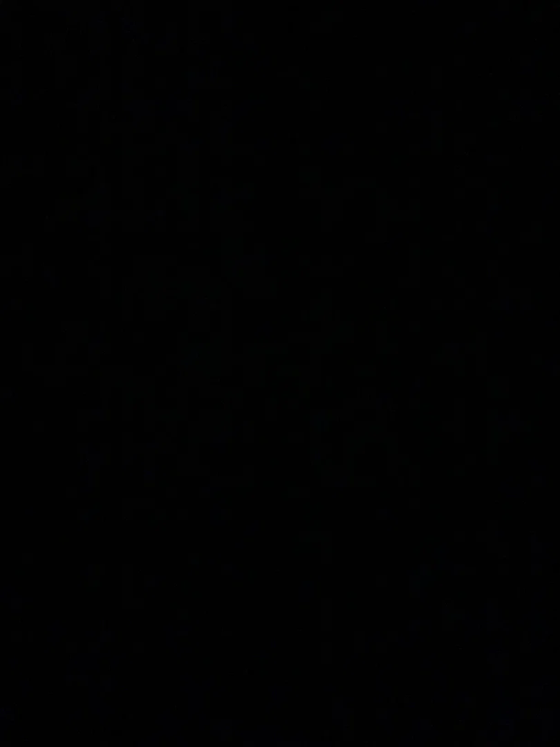 Papi profile banner