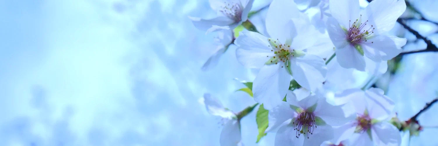 あすみちゃんねる🐤AsumiChannel profile banner