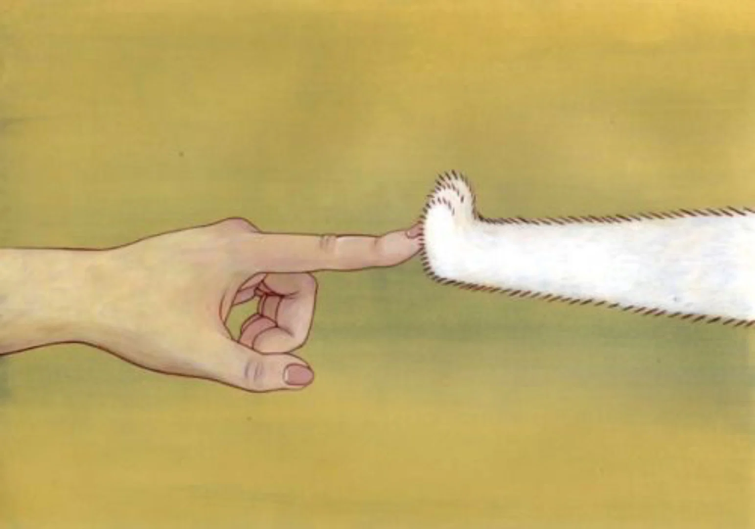 Miss Kitty profile banner